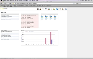 easySYS: Internet basierende Business Software